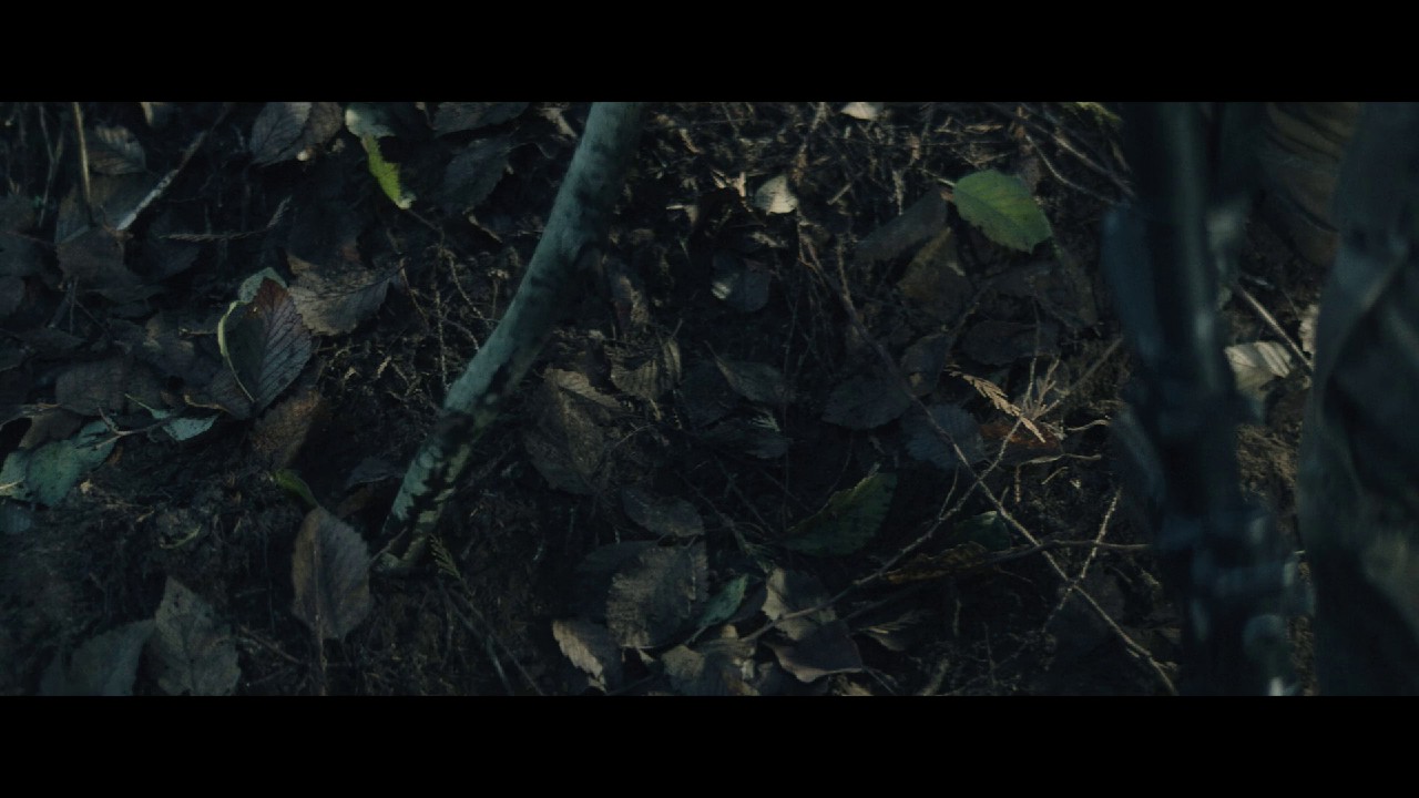 Valiant One (2025) AMZN WEB-DL Hindi + English 1080p AVC DDP 5.1 ESub B4uHD.mkv.0003